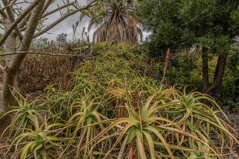 0 Bedroom Property for Sale in Riviersonderend Western Cape